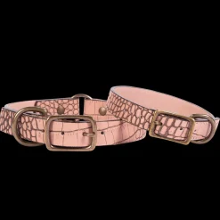 Dog Collar