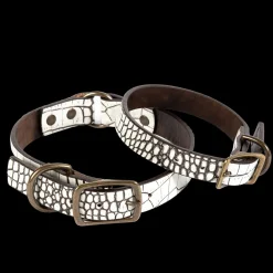 Dog Collar