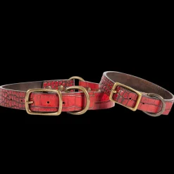 Dog Collar