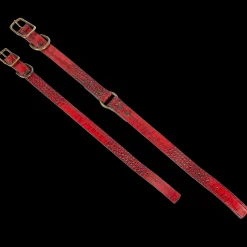 Dog Collar