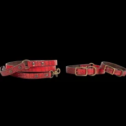 Dog Collar