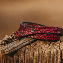 Dog Leash