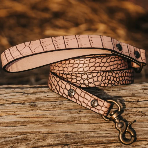 Dog Leash
