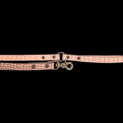 Dog Leash