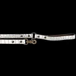 Dog Leash