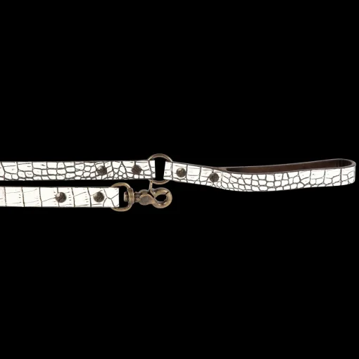 Dog Leash