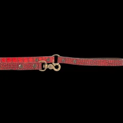 Dog Leash