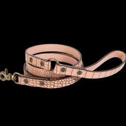 Dog Leash