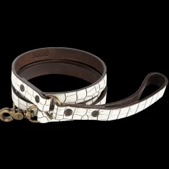 Dog Leash