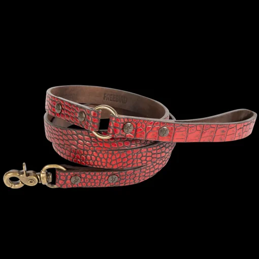 Dog Leash