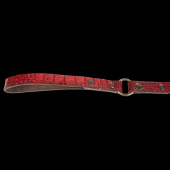 Dog Leash