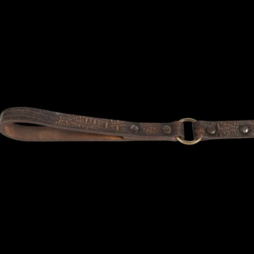 Dog Leash