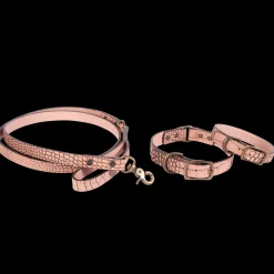 Dog Leash