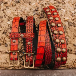 Double Belt