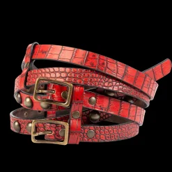 Double Belt