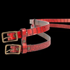 Double Belt